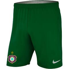 NIKE TORWART SHORT GRÜN