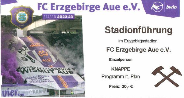 Freizeit Polo farbig 2023/24 - FanShop FC Erzgebirge Aue e.V.