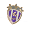 Pin Logo Wismut