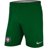 Nike Torwart Short Grün Kinder